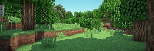 sizzled Profile Banner