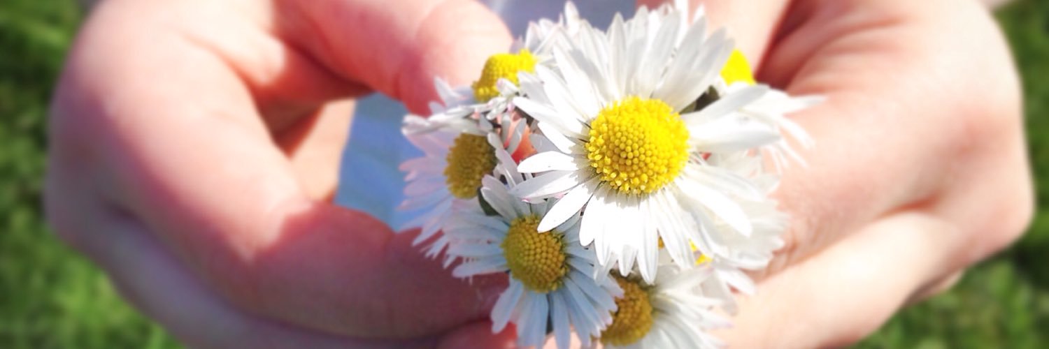 EmmaCheer's profile banner image