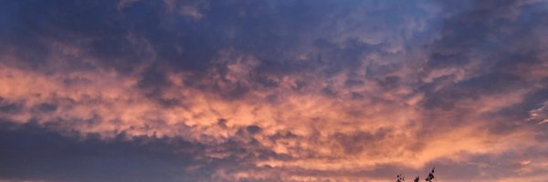 juschnab Profile Banner