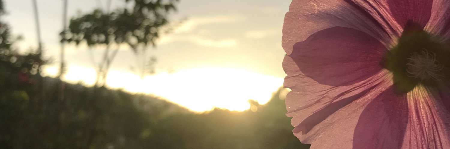 Drian 🇺🇸🇸🇻 banner