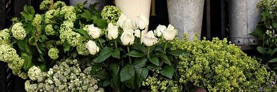 cynthiazen's profile banner image