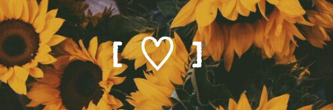 LexiSalgado18's profile banner image