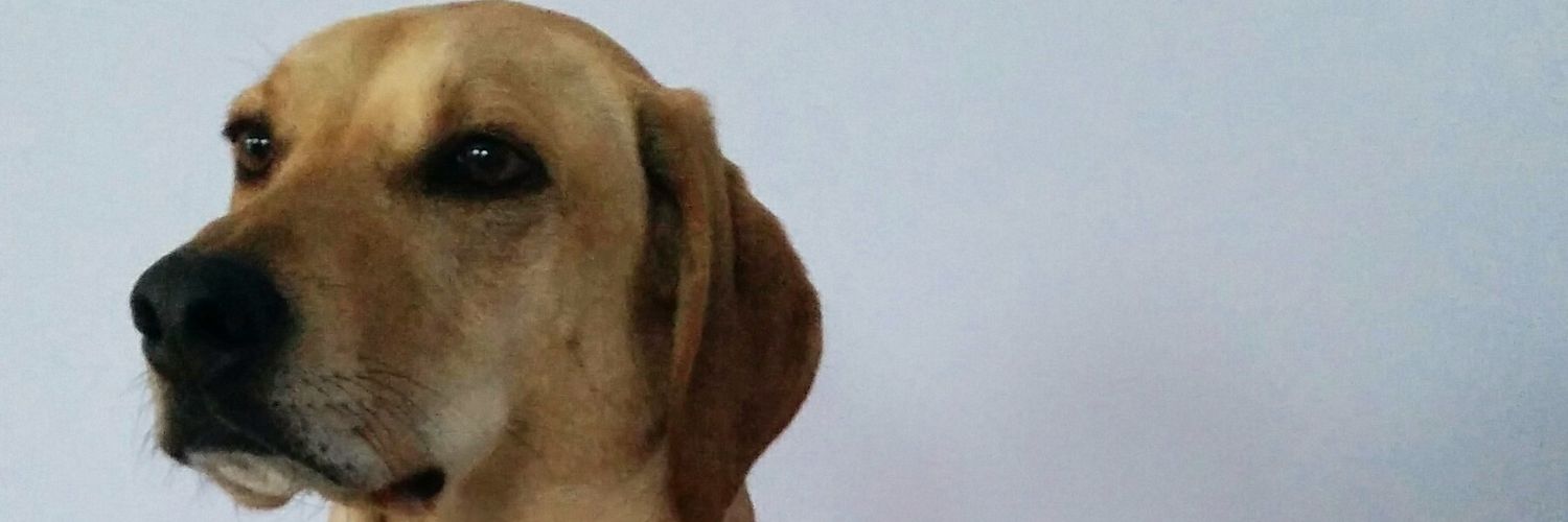 sparrfarts's profile banner image