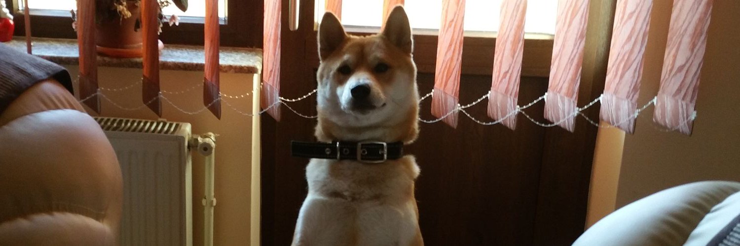 Littlechocomilk's profile banner image