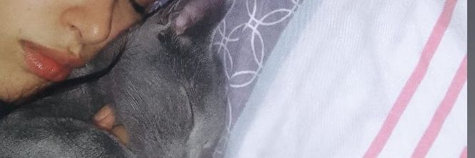 u m a banner