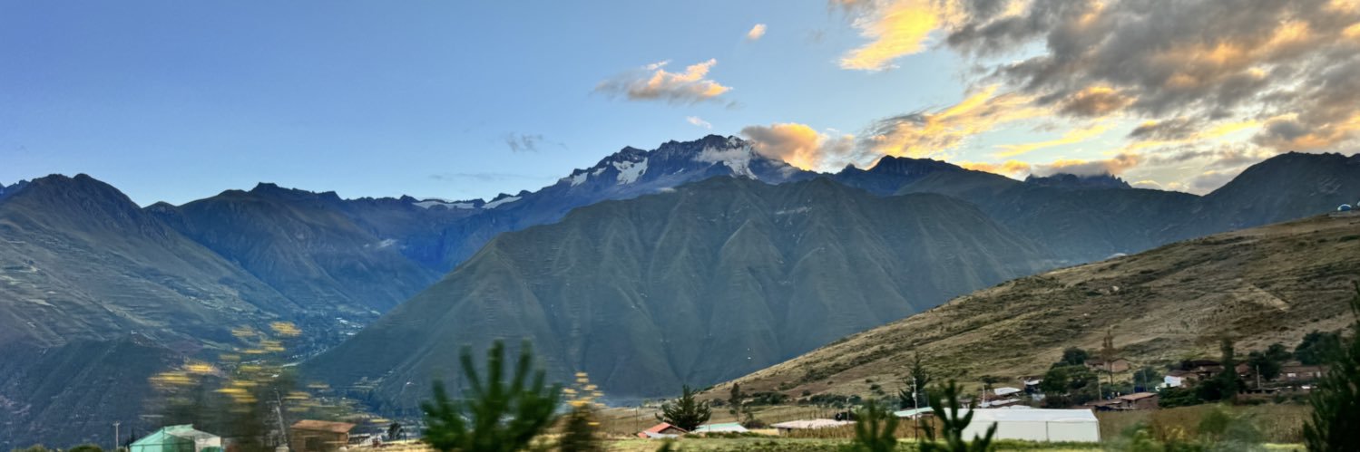 Rochelle Mattern banner