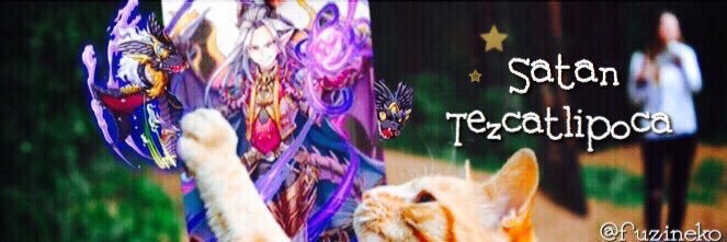 fuzineko's profile banner image
