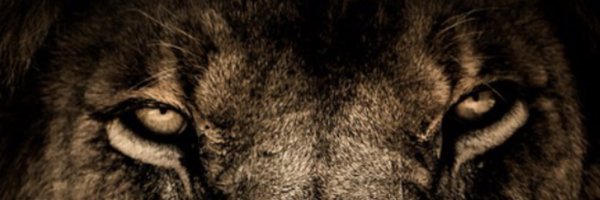 j2sharpp Profile Banner