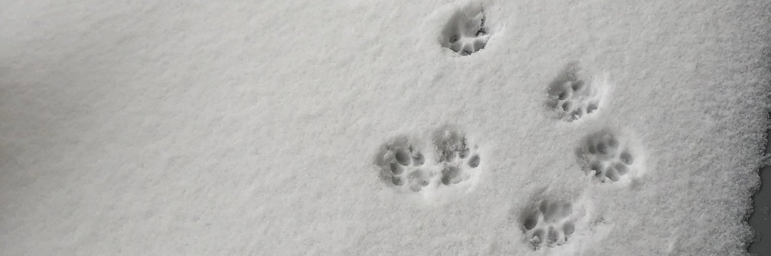cattower0505's profile banner image