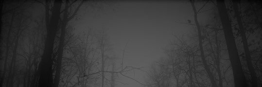 wilt_beth's profile banner image