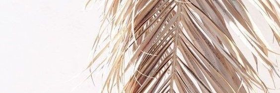 AngelinaCastell's profile banner image