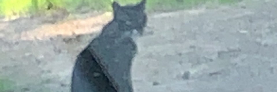 Blake Jackson banner