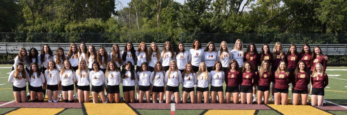 MontiniVolleyball banner