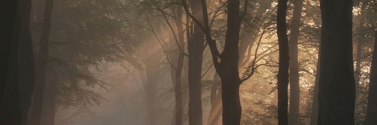 AndriasL24's profile banner image