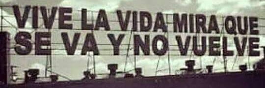 Rolando Neuta banner