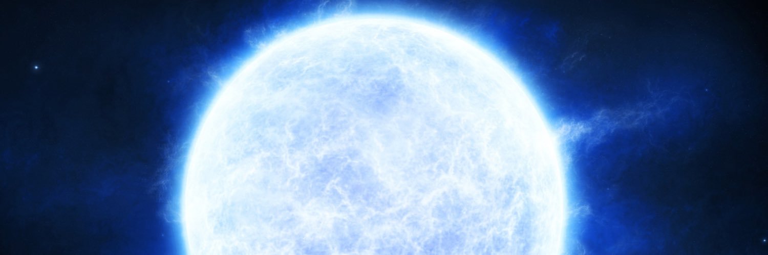 Leslie Dingo banner