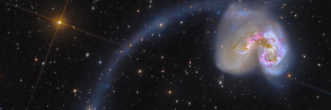 Victor Oyiboka banner