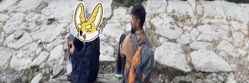 AlphaEth | ETHGas ⛽ banner