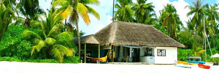 Sunday Adeniyi (Catalyst) 💙🌴 banner