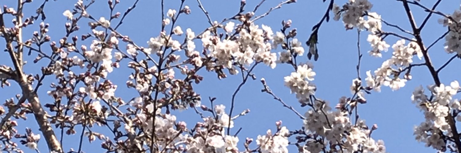 SoaperU's profile banner image