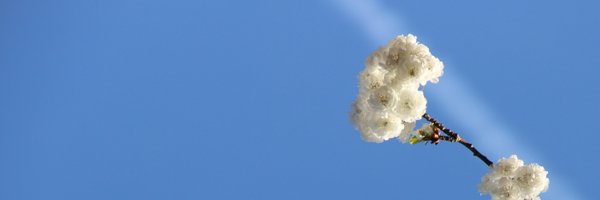 AveP6ld Profile Banner