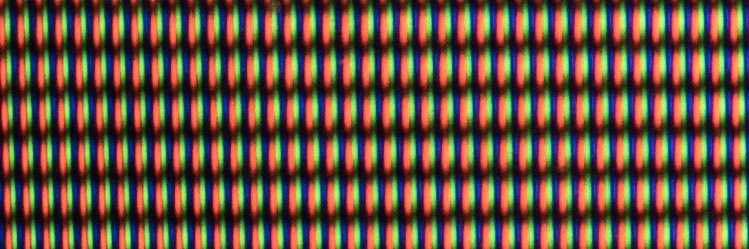 leo im banner