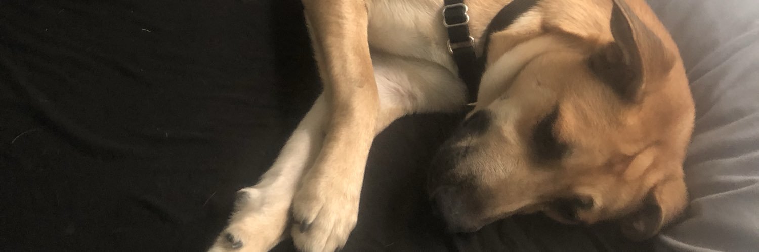 Garrett_Ryan1's profile banner image