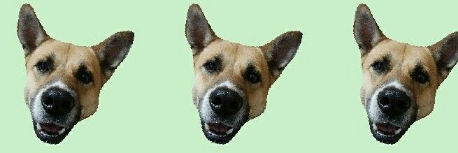 tirolsko's profile banner image