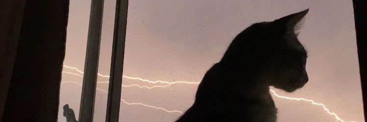 muffinsandy's profile banner image