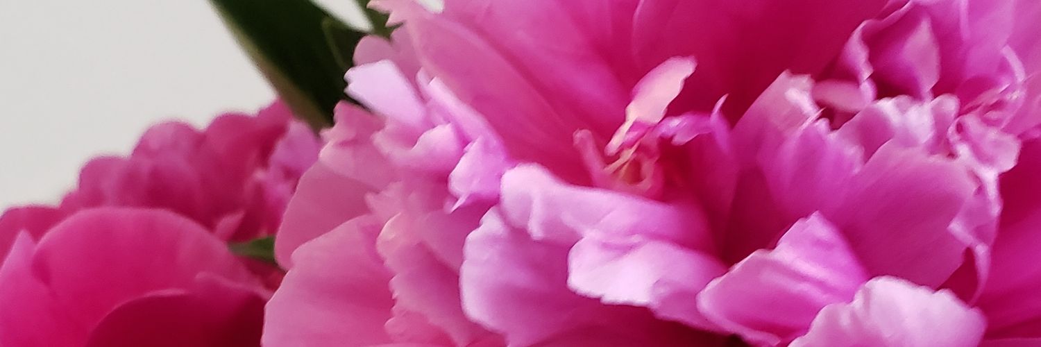 maimai0214's profile banner image