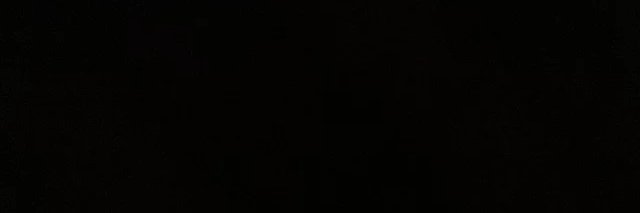 avi's banner