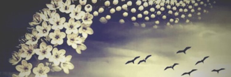reeetooo's profile banner image