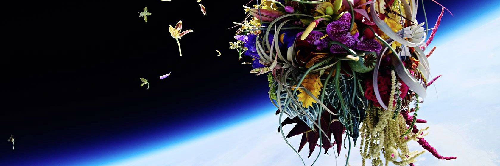 Rogelio Zarate banner