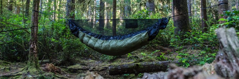 ShellHammocks's profile banner image