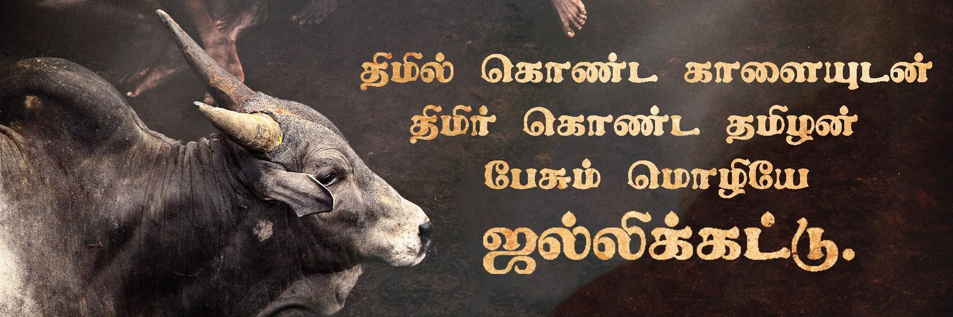 JALLIKATTUPL's profile banner image