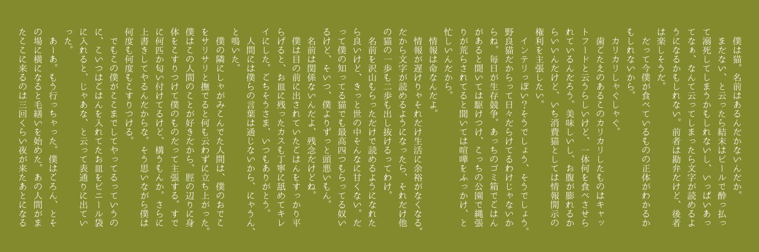 vierkatzen's profile banner image
