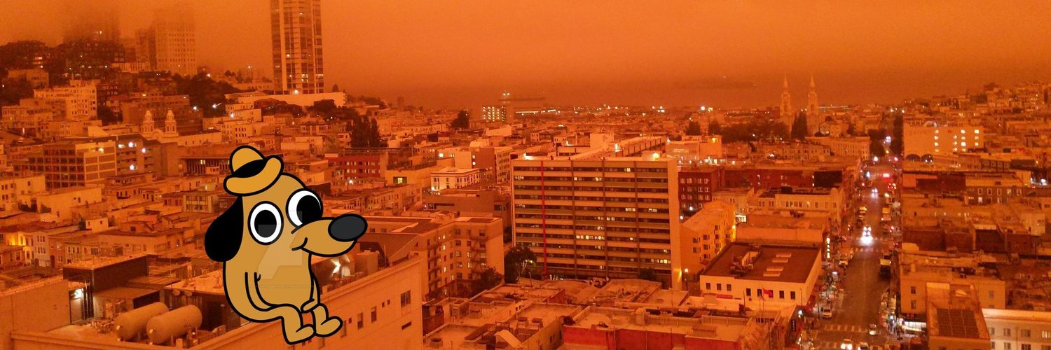 Féidhlim Macauley banner