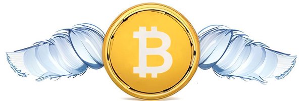 piaolingjin Profile Banner