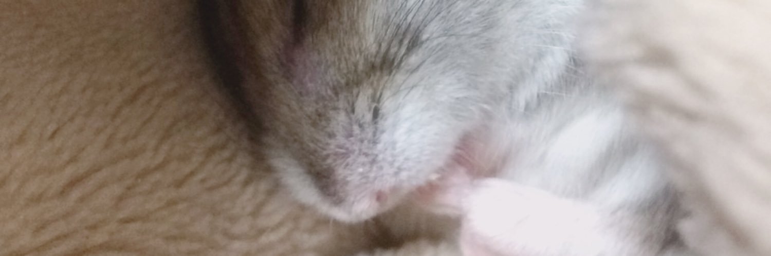 aNn_Y29's profile banner image