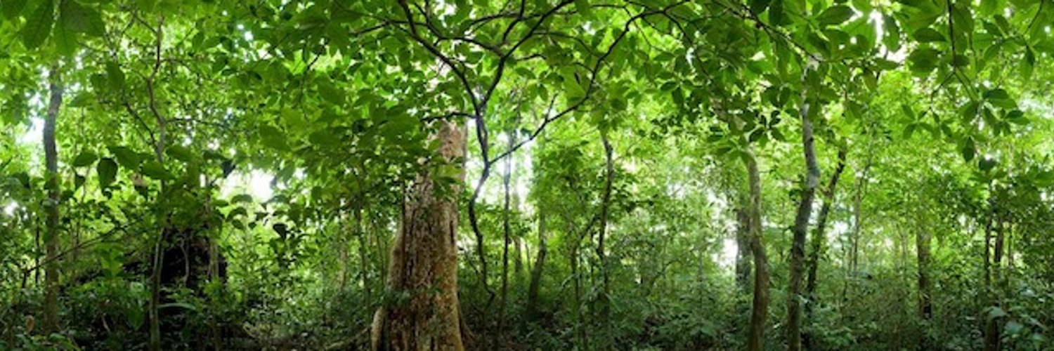 Nigeria REDD+ Programme Profile Banner