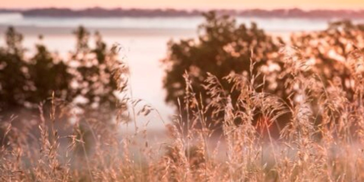 MaximaMediaCo's profile banner image