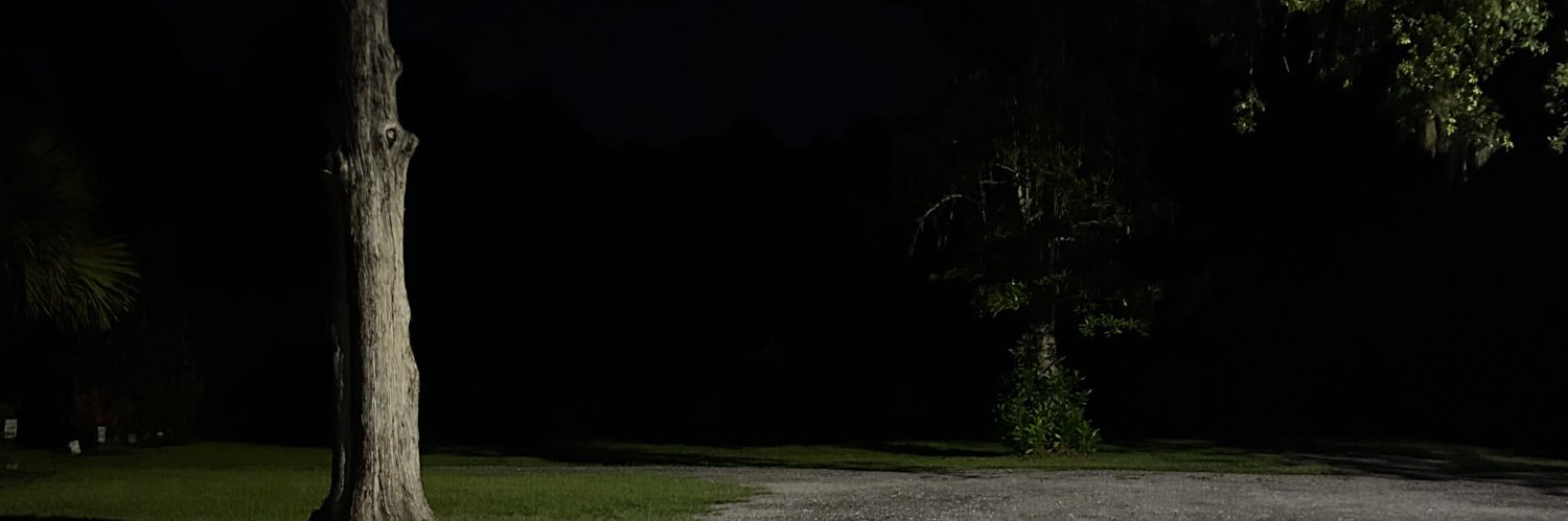 petremmy's profile banner image