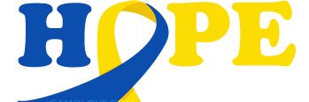 Lisa banner