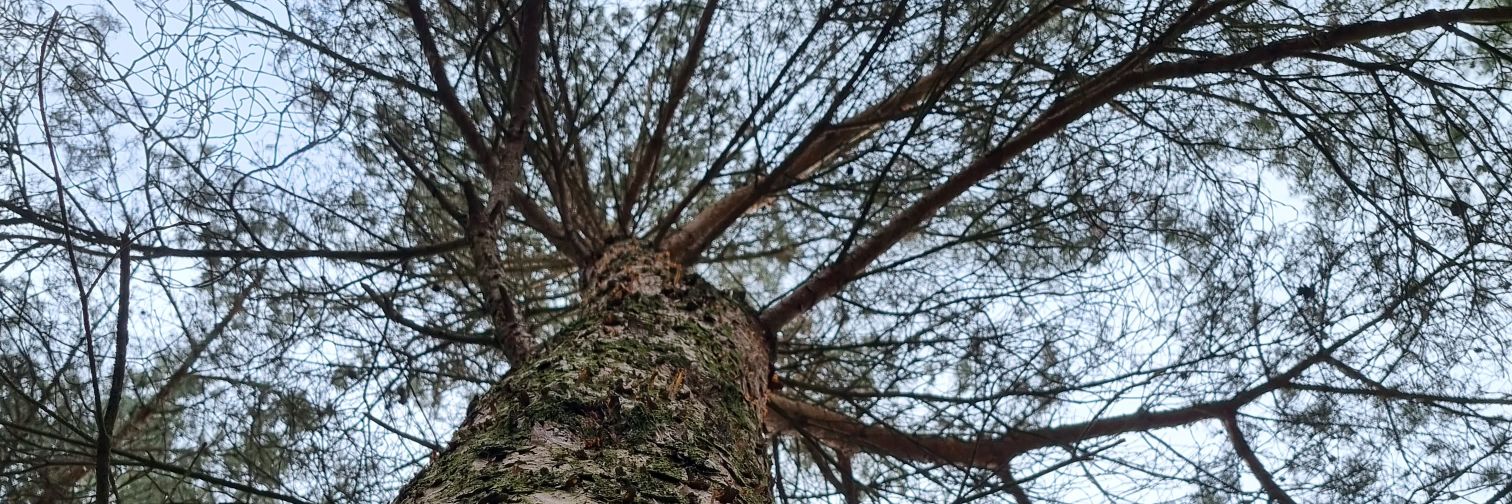 AdamHutton4's profile banner image