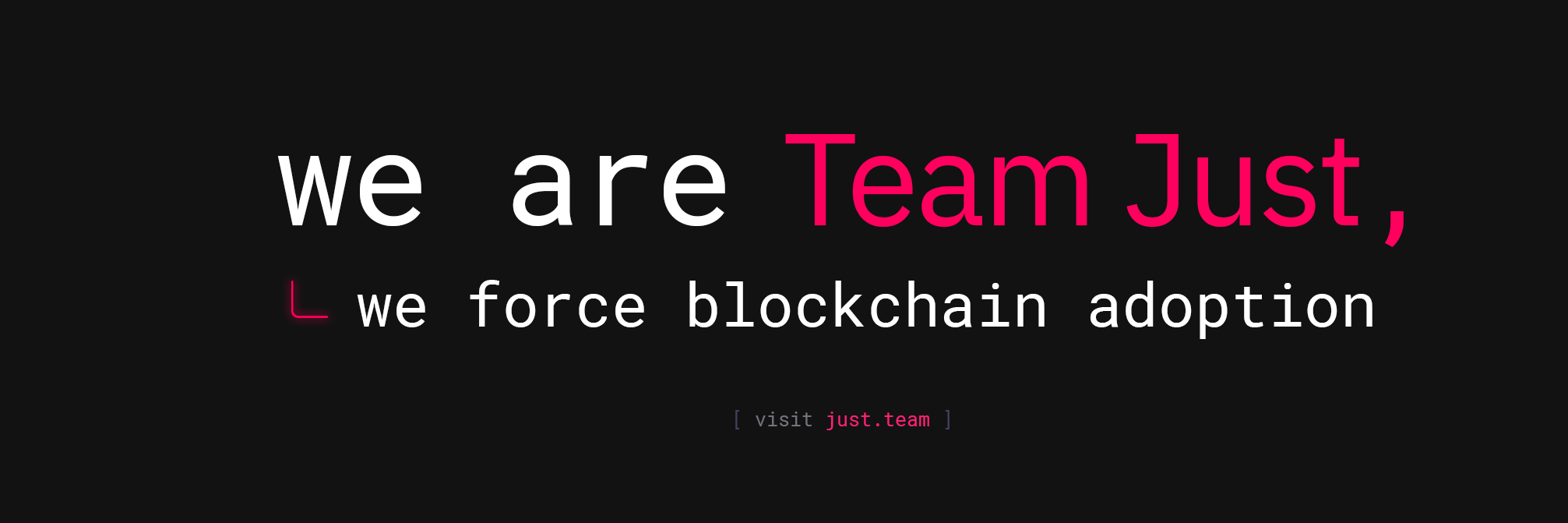 Team JUST banner