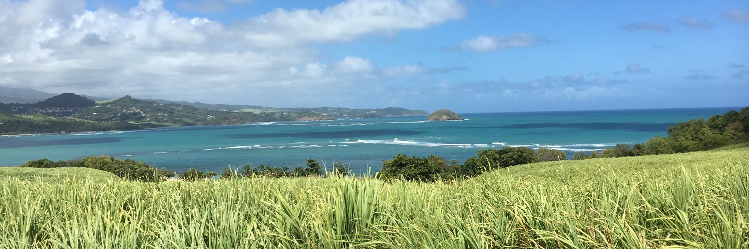 Florence Gilat banner