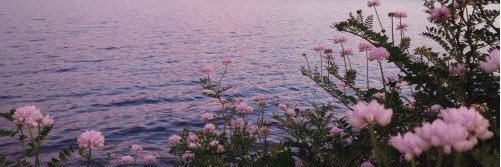 Ghadaismail98's profile banner image