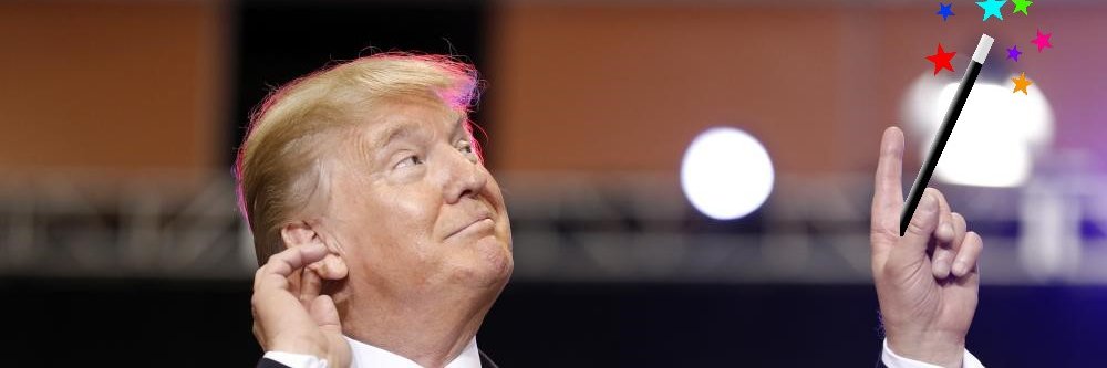Robert Trump banner