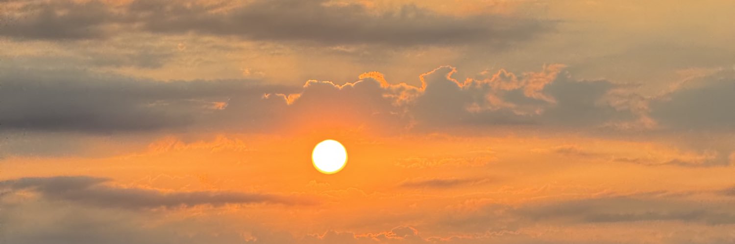 natalieLN banner