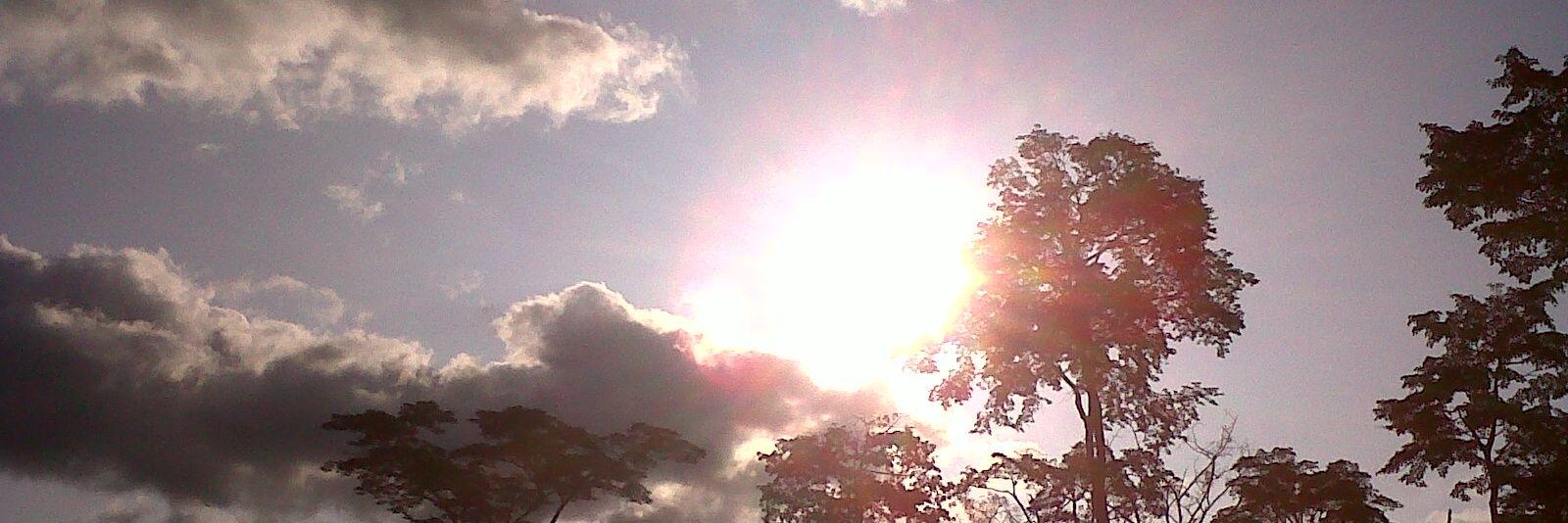 Ana Mª Sánchez banner